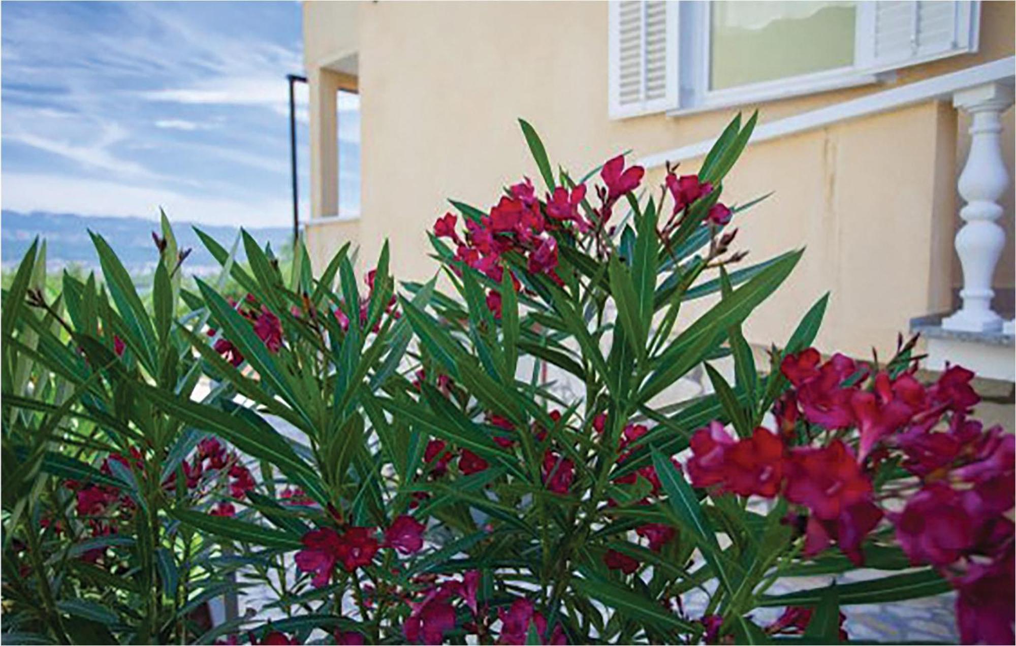 1 Bedroom Beautiful Apartment In Malinska Extérieur photo